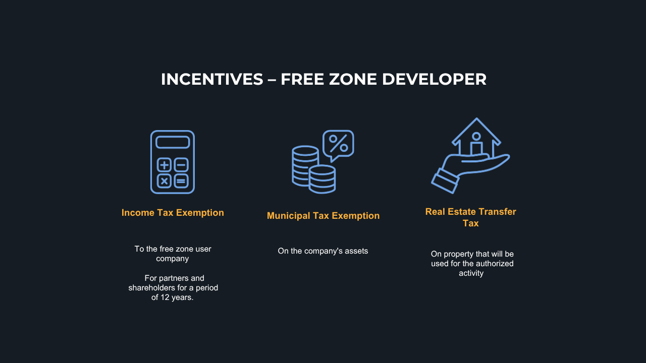 Incentives – free zone developer